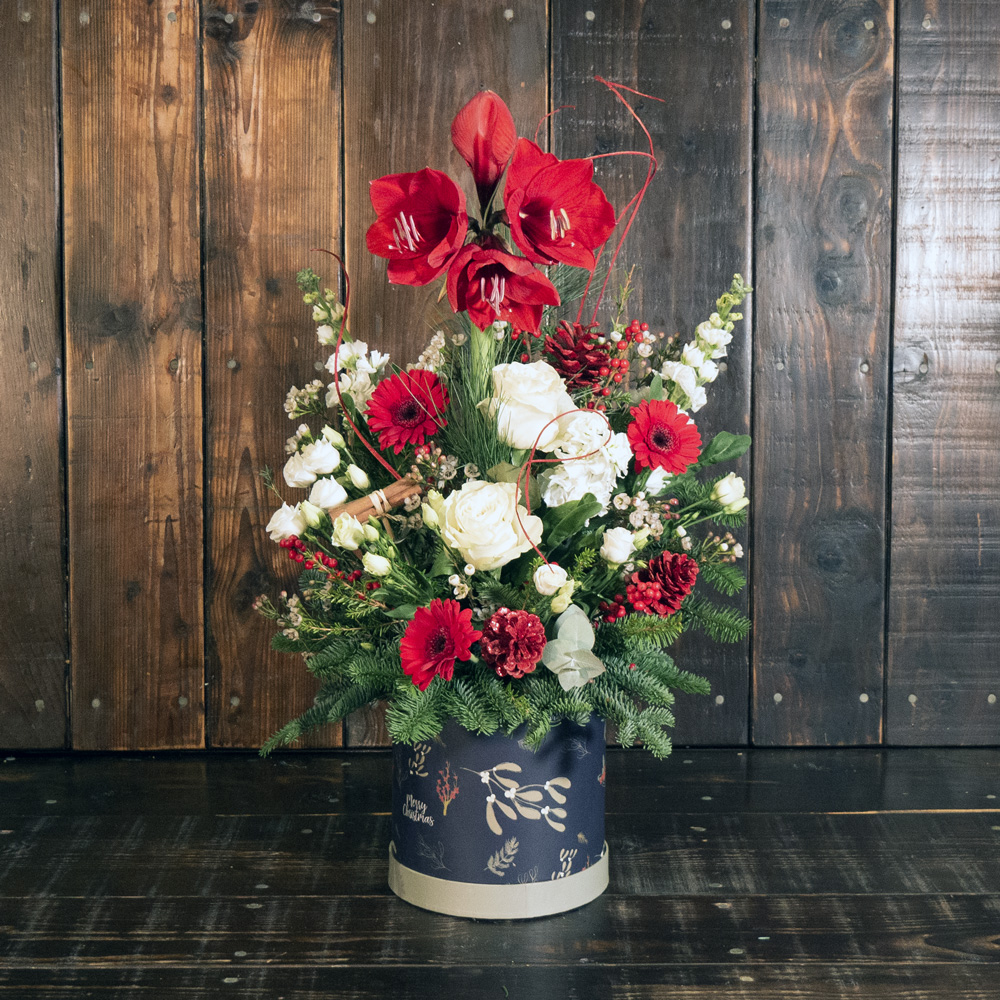 Amaryllis Hat Box Christmas Arrangement